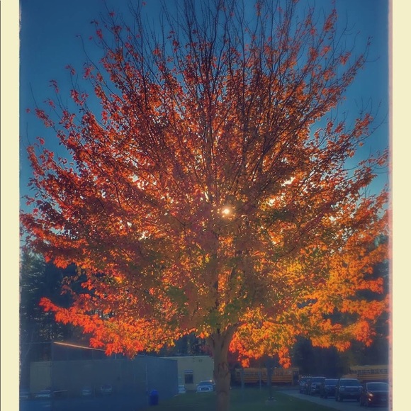 Meet your Posher, Cristina - Picture 1 of 1